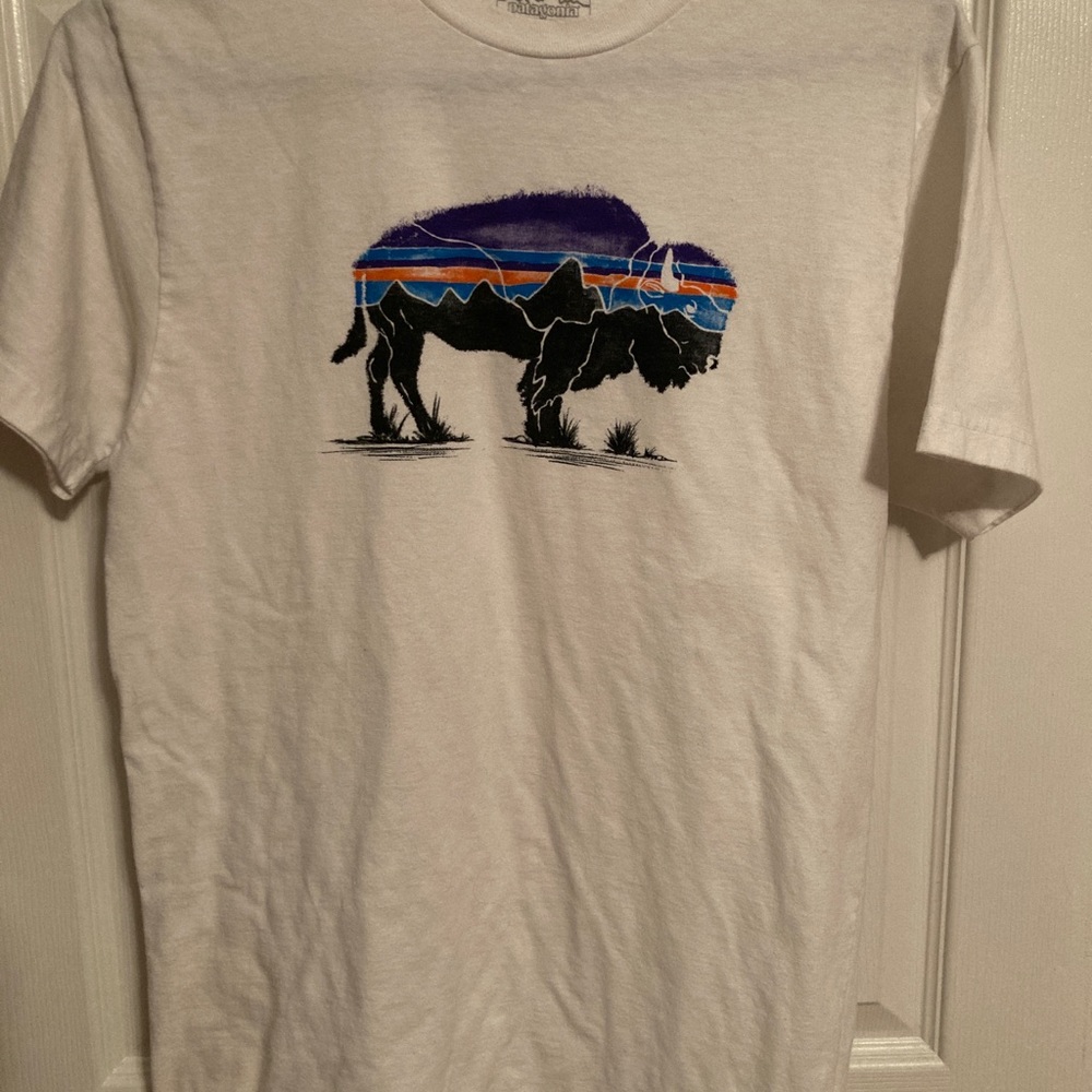 Patagonia slim fit T-shirt